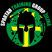 STG Žilina logo